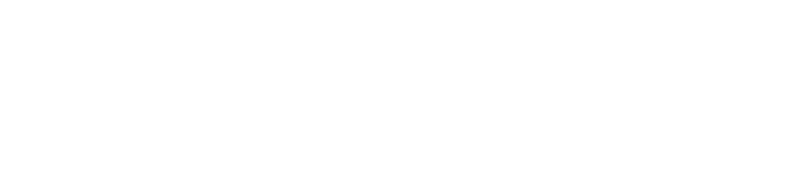 Hornbill Interactive